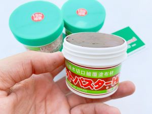 Keo liền sẹo Cut-Paster nội địa Nhật Bản