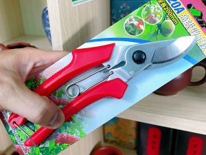 Kéo cắt cành Buddy cán đỏ 200mm Đài Loan