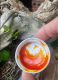 Giữ Gỗ Lâu Mục - Thuốc Bôi Lũa cho cây gỗ mềm LƯU HUỲNH  màu Trắng Ngà nội địa Nhật Bản