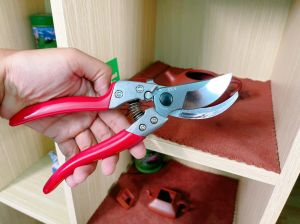 Kéo cắt cành ARS VS-9Z 227mm nội địa Nhật