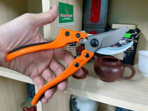 Kéo cắt cành Buddy 210mm Cán Cam Đài Loan