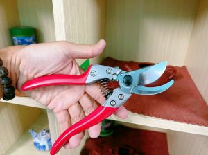 Kéo cắt cành ARS VS-8Z 200mm nội địa Nhật Bản