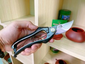 Kéo cắt cành Bông Lúa MURAHISHA 200 MM