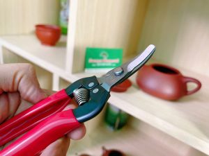 Kéo tỉa Lưỡi Cong ARS Thép Trắng 310DX 170 mm